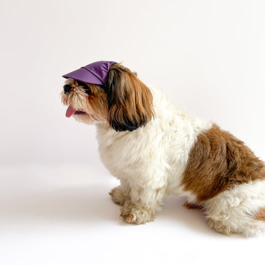Pawgy Pets Waterproof Dog Cap: Purple for Dog & Cats