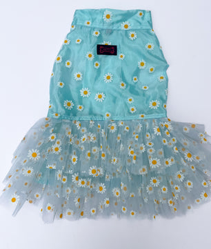 Pawgy Pets Frilly Dress Powder Blue for Dogs