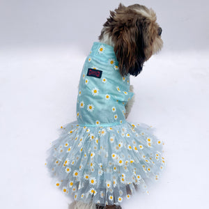 Powder Blue Frilly Dress | For Dogs | Pawgy Pets