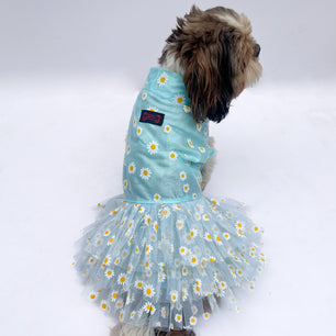 Pawgy Pets Frilly Dress Powder Blue for Dogs