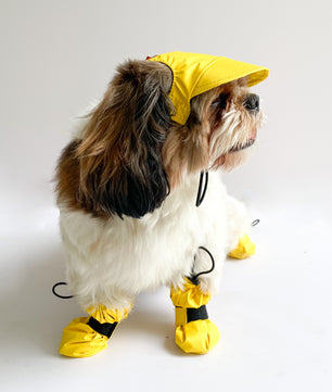 Pawgy Pets Waterproof Dog Cap: Yellow for Dog & Cats