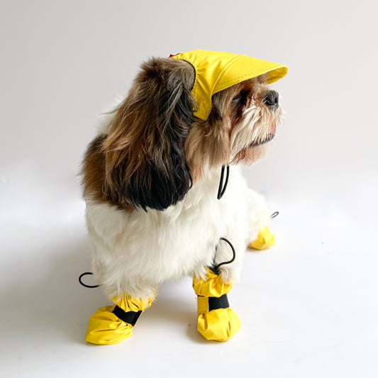 Pawgy Pets Waterproof Dog Cap: Yellow for Dog & Cats