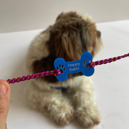 Dog Rakhi Bone Blue