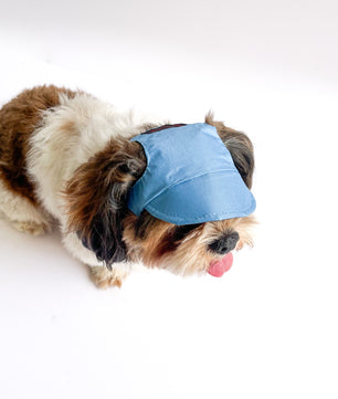 Pawgy Pets Waterproof Dog Cap: Blue for Dog & Cats