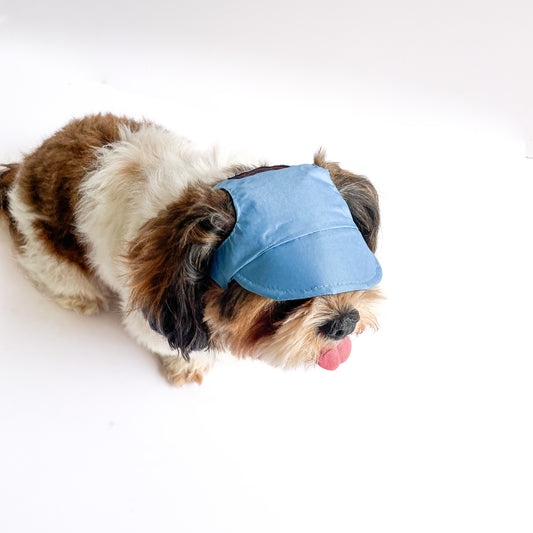 Pawgy Pets Waterproof Dog Cap: Blue for Dog & Cats