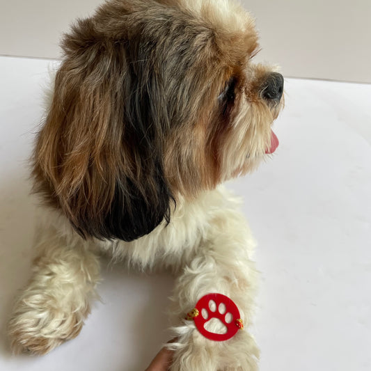 Dog Rakhi Red Paw