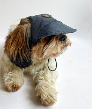 Pawgy Pets Dog Cap: Denim for Dog & Cats