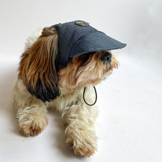 Pawgy Pets Dog Cap: Denim for Dog & Cats