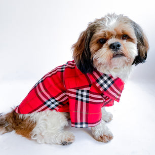 Pawgy Pets Red Checks Shirt/ Sando for Dogs