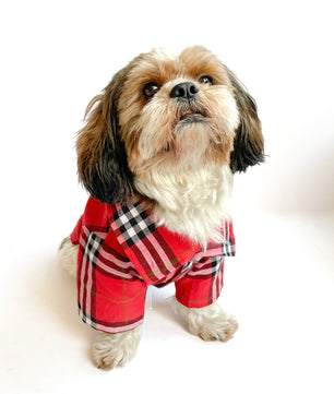 Pawgy Pets Red Checks Shirt/ Sando for Dogs
