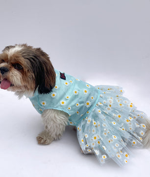 Pawgy Pets Frilly Dress Powder Blue for Dogs