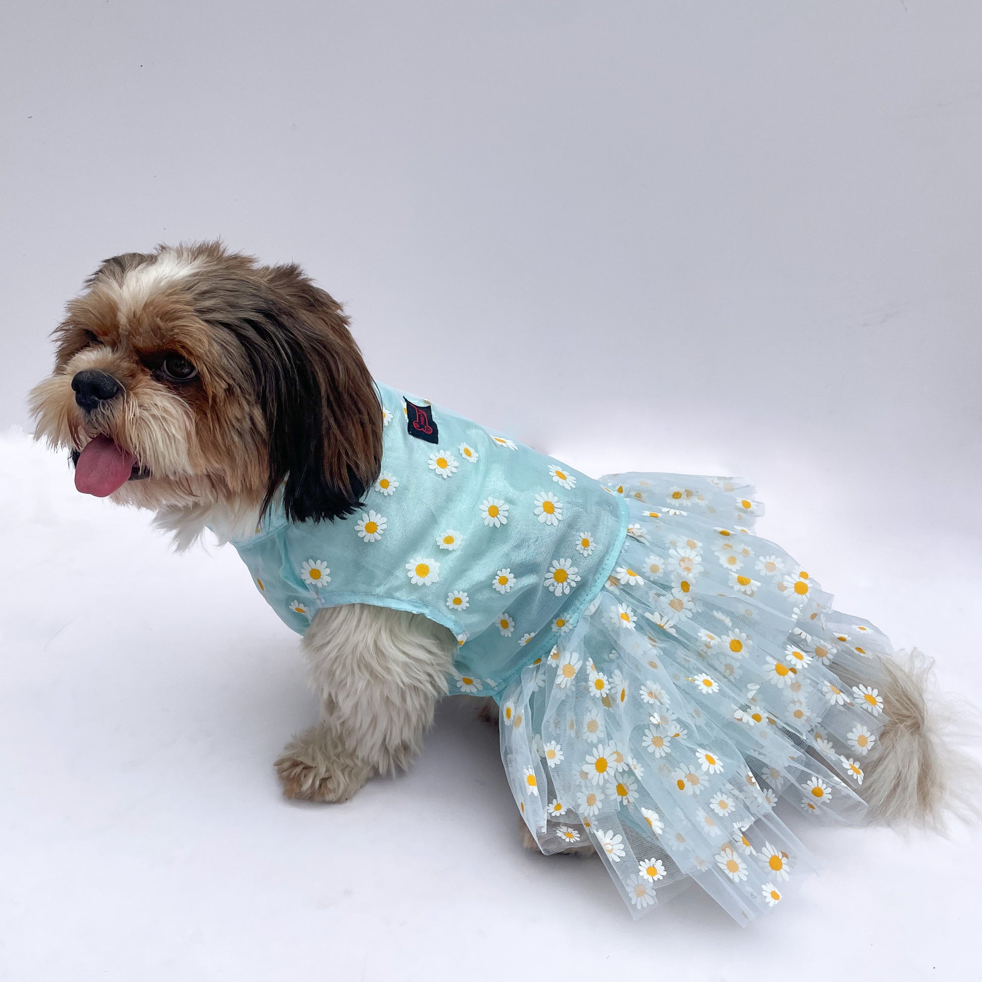 Pawgy Pets Frilly Dress Powder Blue for Dogs