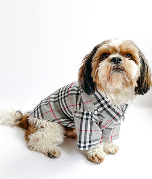 Pawgy Pets Grey Checks Shirt/Sando  for Dogs