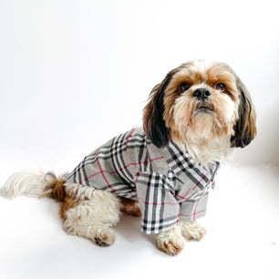 Pawgy Pets Grey Checks Shirt/Sando  for Dogs