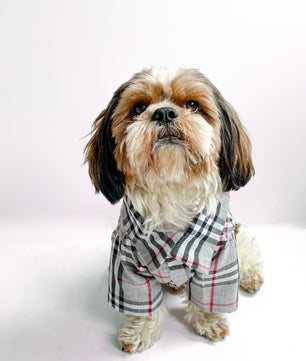 Pawgy Pets Grey Checks Shirt/Sando  for Dogs