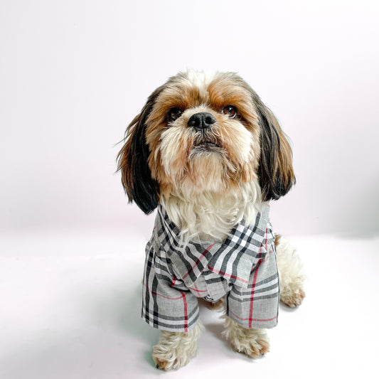 Pawgy Pets Grey Checks Shirt/Sando  for Dogs