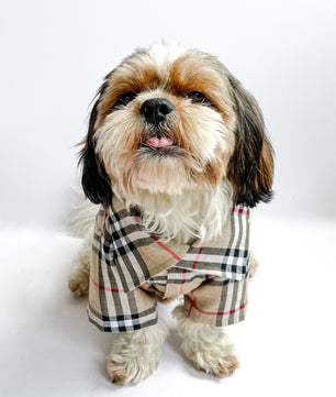 Pawgy Pets Beige Checks Shirt/Sando for Dogs
