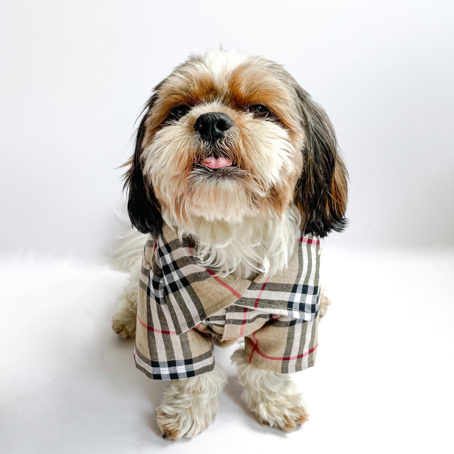 Pawgy Pets Beige Checks Shirt/Sando for Dogs