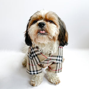 Beige Checks Shirt & Sando | For Dogs | Pawgy Pets