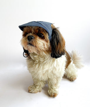 Pawgy Pets Dog Cap: Denim for Dog & Cats