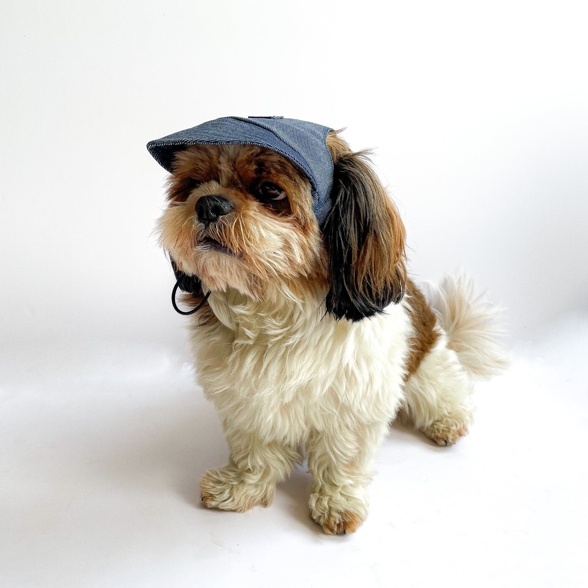 Pawgy Pets Dog Cap: Denim for Dog & Cats