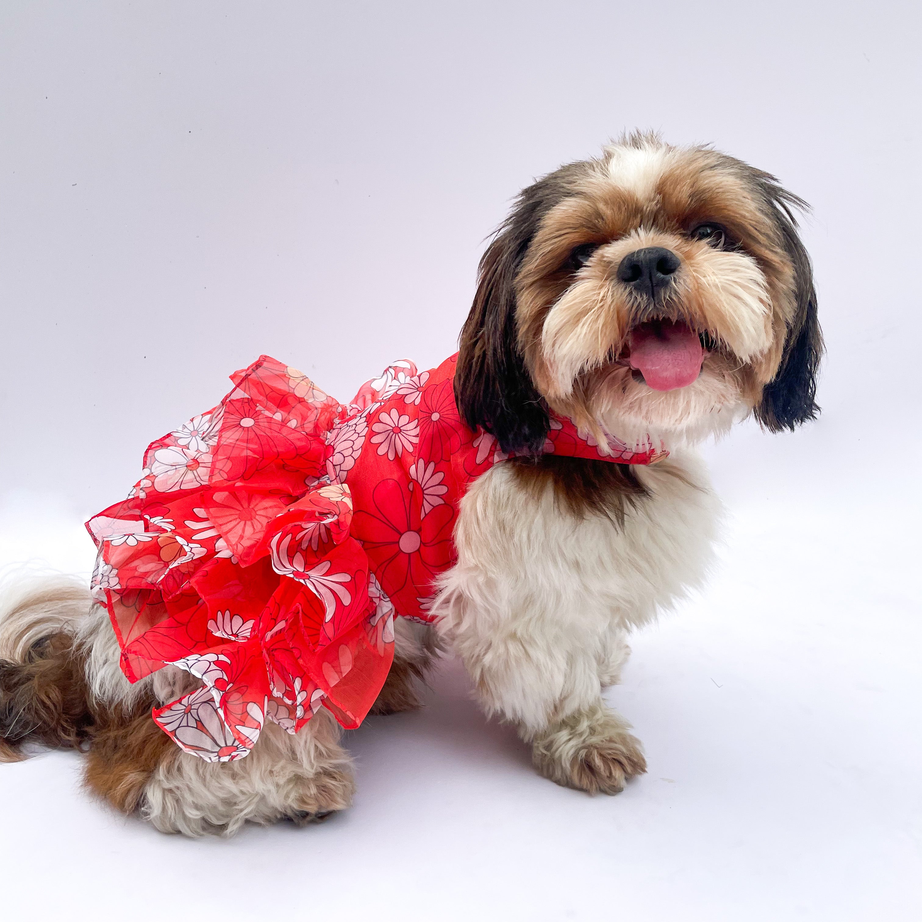 Dog Dress, Female dog dress, shihtzu birthday dress, dog