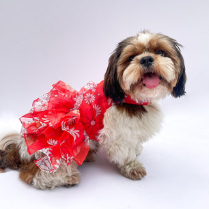 Pawgy Pets Frilly Dress Red for Dogs