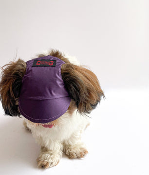 Pawgy Pets Waterproof Dog Cap: Purple for Dog & Cats
