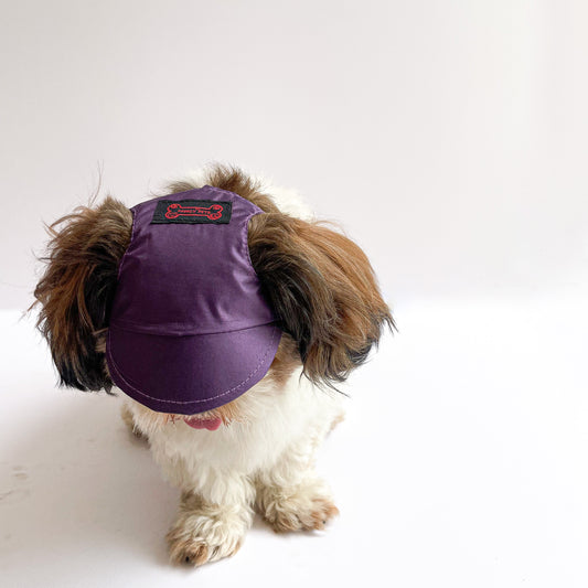 Pawgy Pets Waterproof Dog Cap: Purple for Dog & Cats