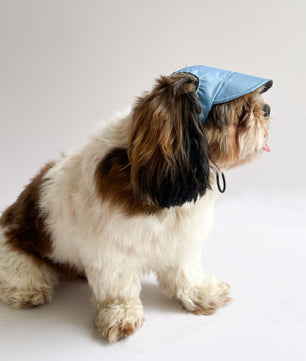 Pawgy Pets Waterproof Dog Cap: Blue for Dog & Cats