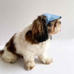 Blue Waterproof Cap | For Dogs | Pawgy Pets