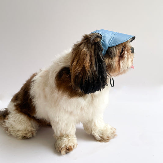 Pawgy Pets Waterproof Dog Cap: Blue for Dog & Cats