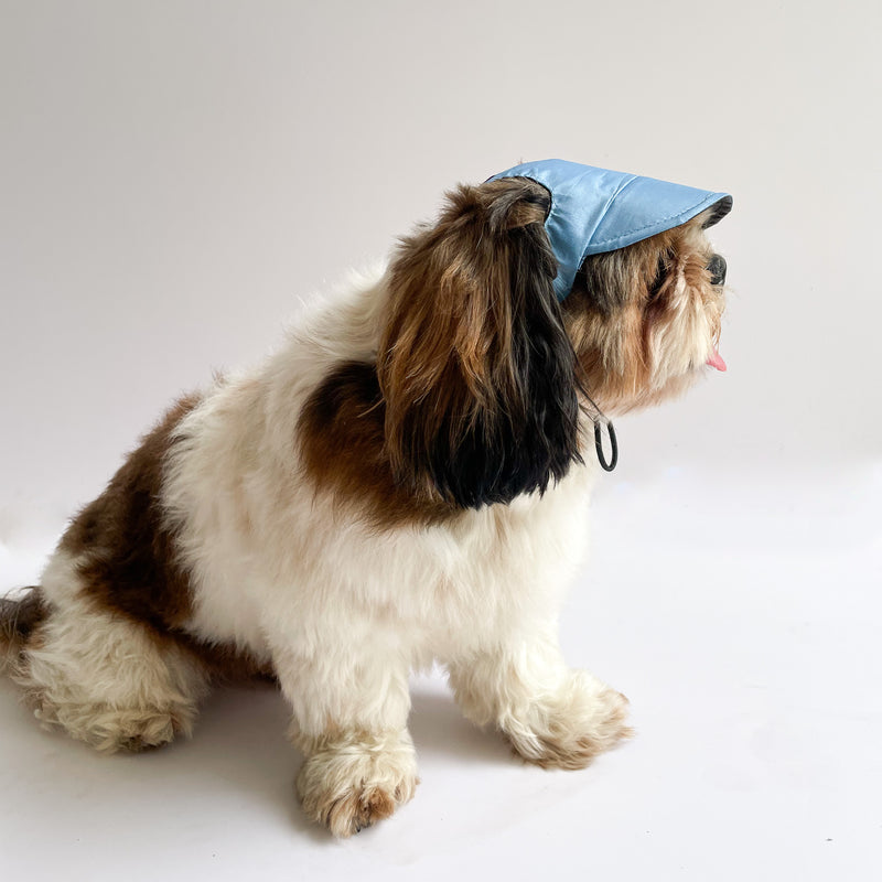 Blue Waterproof Cap | For Dogs | Pawgy Pets