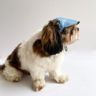 Pawgy Pets Waterproof Dog Cap: Blue for Dog & Cats