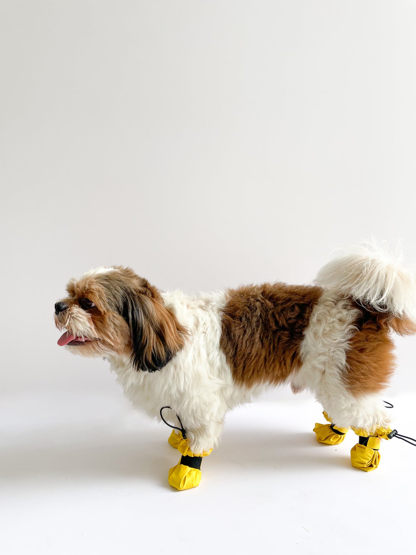 Monsoon Paw Covers: Yellow