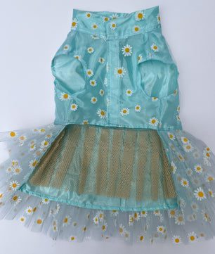 Pawgy Pets Frilly Dress Powder Blue for Dogs