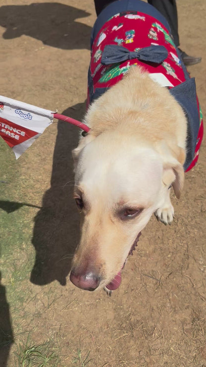 Four-Legged Dungaree | For Dogs | Pawgy Pets