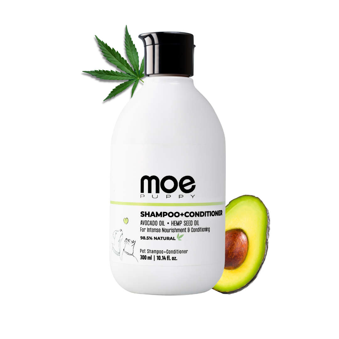 Shampoo+Conditioner for Intense 
Nourishment and Conditioning | 300 ml