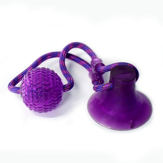 Basil Vacuum Cup Toy with Rope and ball Toy (Silicon)