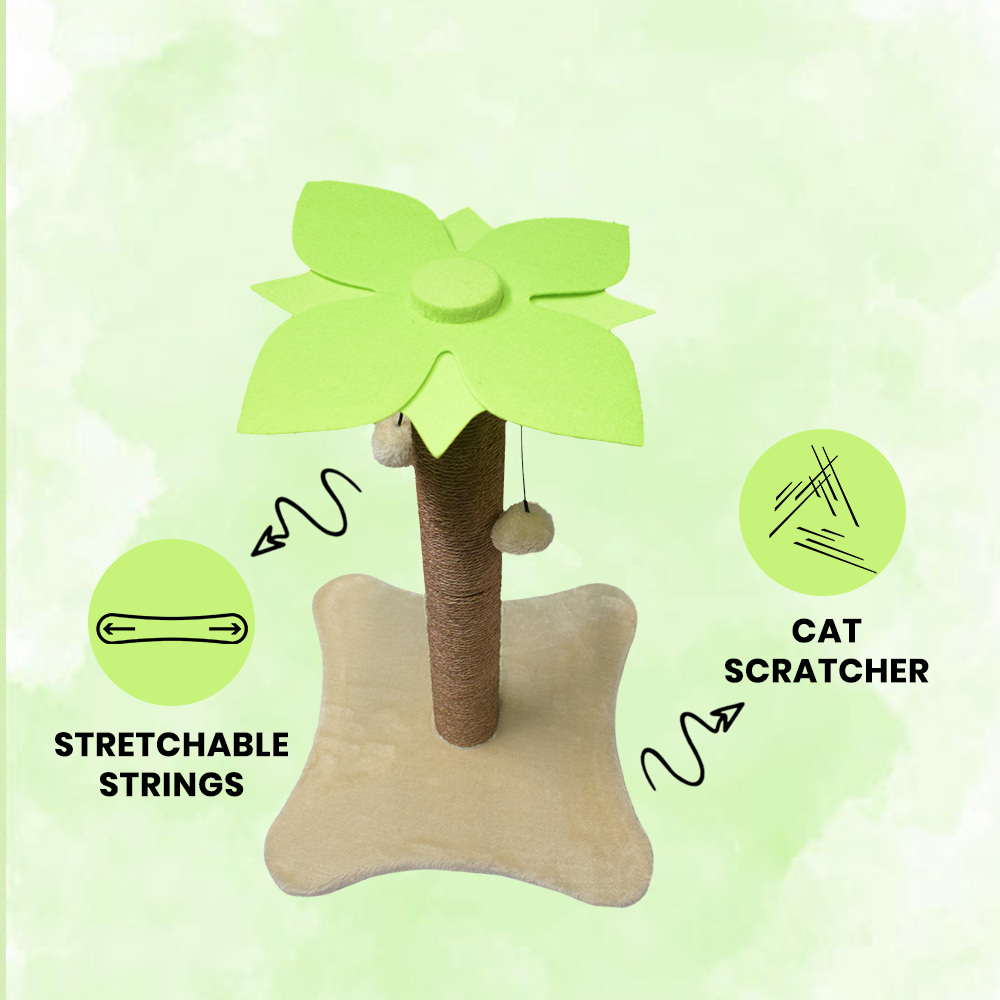 Basil Cat Coconut Tree