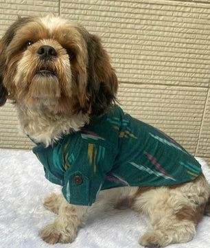 Pawgy Pets Ikkat Kurta: Peacock green for Dogs