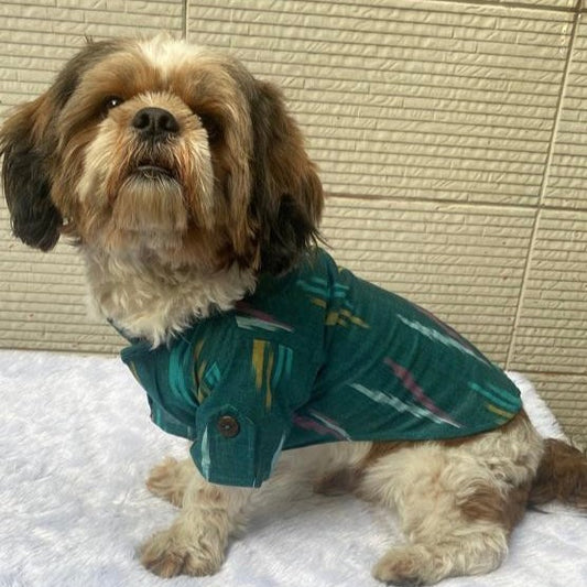 Pawgy Pets Ikkat Kurta: Peacock green for Dogs