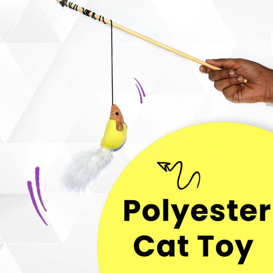 Basil Cat Stick + Mouse toys