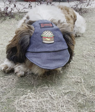 Pawgy Pets Dog Cap: Denim for Dog & Cats