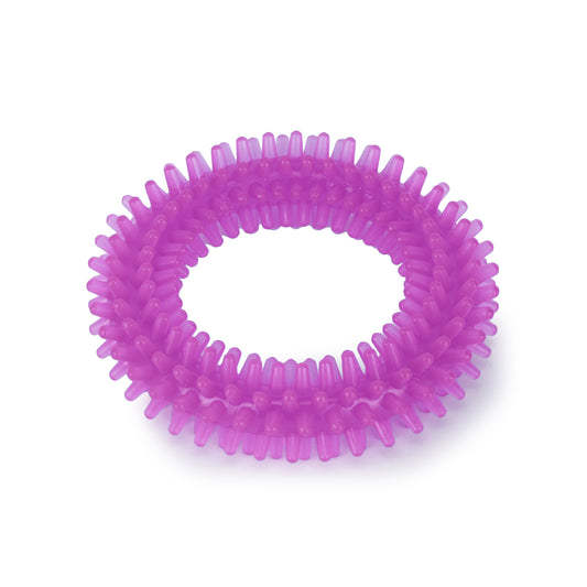 Basil Spike Teething / Chew Ring Purple