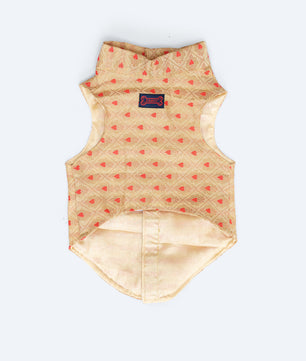 Pawgy Pets Sherwani Golden for Dogs