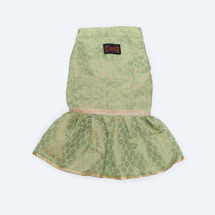 Pawgy Pets Occasion wear Dress Pista Green for Dogs