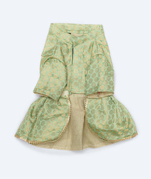 Pawgy Pets Occasion wear Dress Pista Green for Dogs