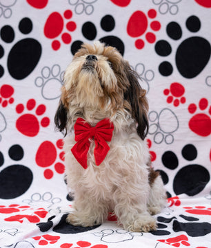 Pawgy Pets Pigtail Bowtie: Red for Dogs & Cats