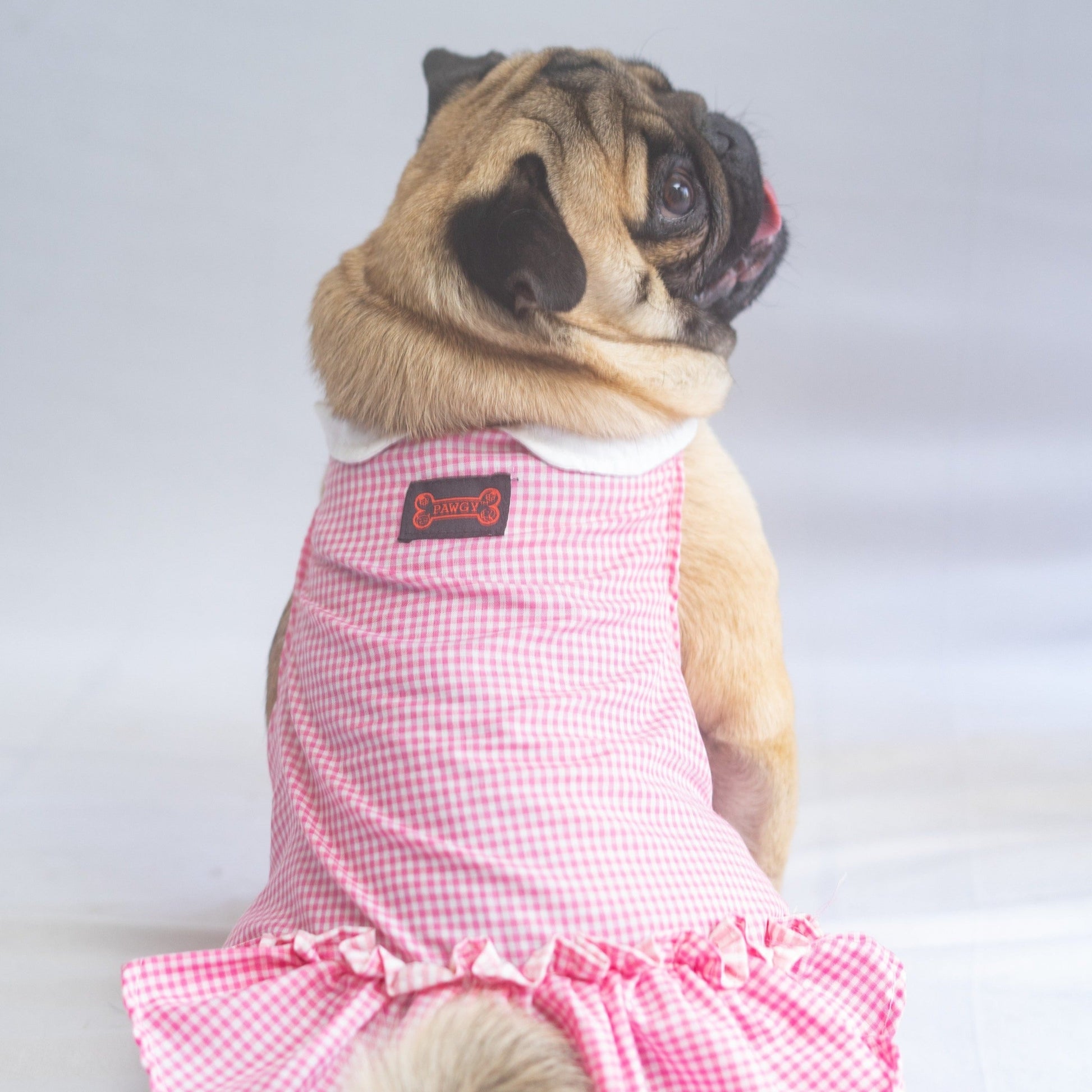 Pink Strapy Summer Dress for Dogs Pink Strapy Summer Dress for Dogs